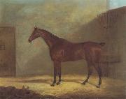 John Boultbee A Chestnut Hunter With A Groom By a Building oil